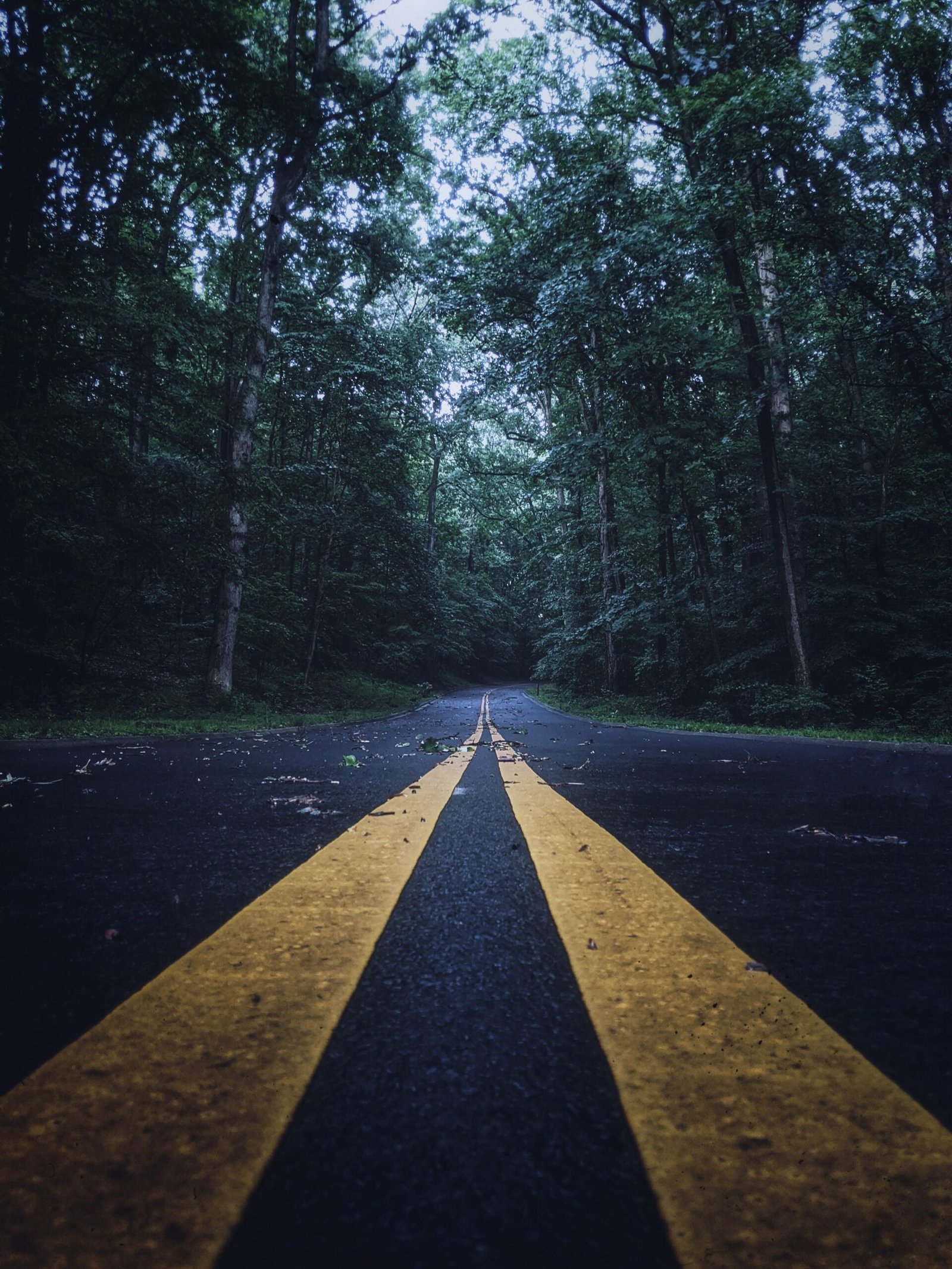 leading lines photography