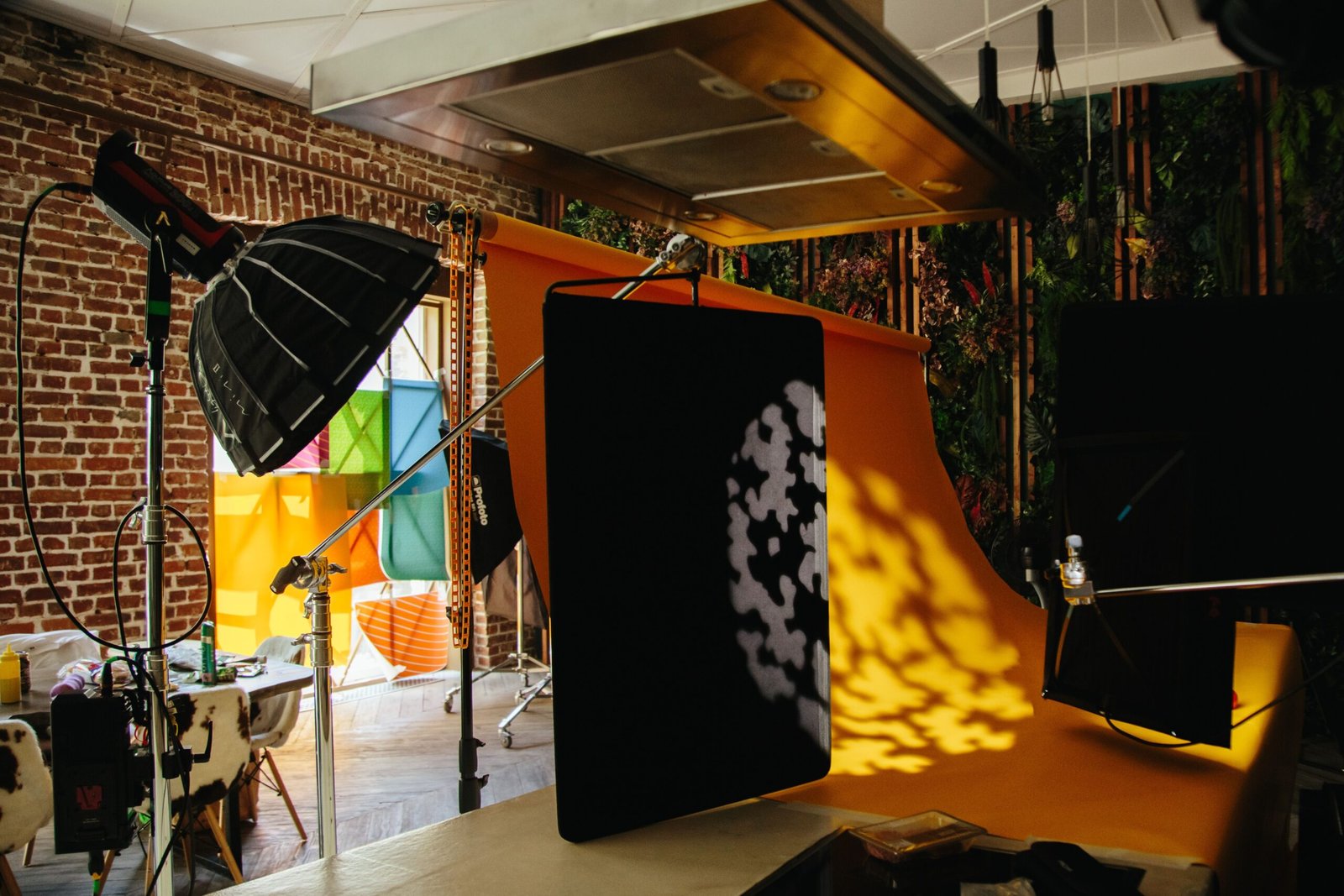 photography backdrop