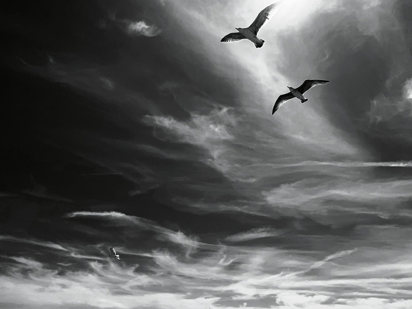 black and white photography